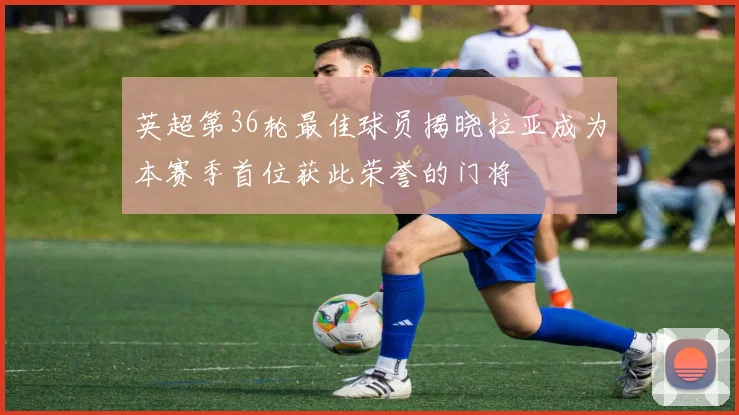 英超第36轮最佳球员揭晓拉亚成为本赛季首位获此荣誉的门将