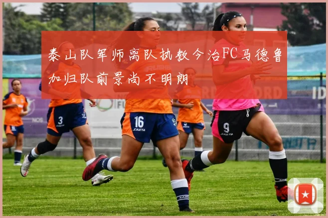 泰山队军师离队执教今治FC马德鲁加归队前景尚不明朗